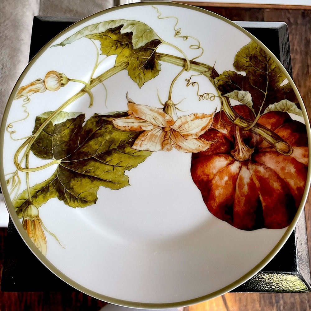 NWT-Botanical Pumpkin Salad Plates by Williams Sonoma, set of 4